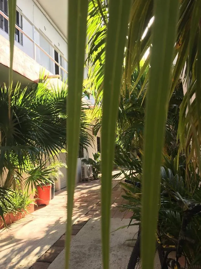 Otel Posada Olmeca Playa del Carmen Meksika