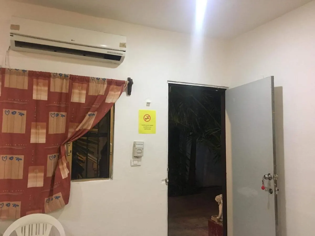 酒店 Posada Olmeca 普拉亚卡门