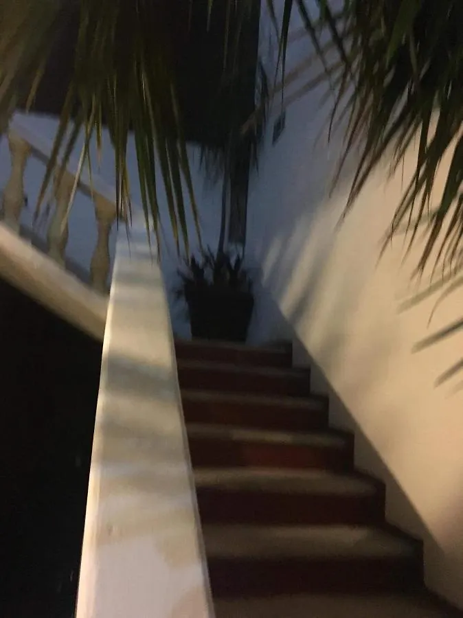 Posada Olmeca 普拉亚卡门 酒店
